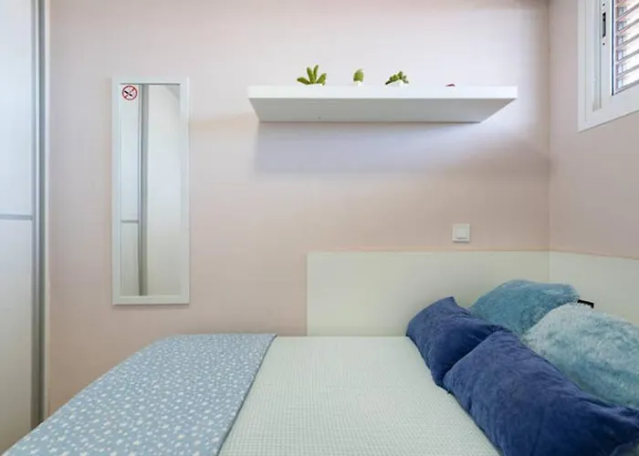 Apartment And Functional